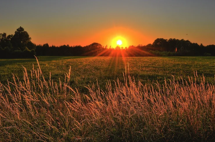 beautiful-cropland-dawn