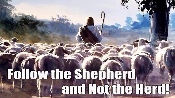 follow-the-shepherd